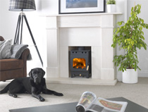 Burley Springdale Wood Burning Stove