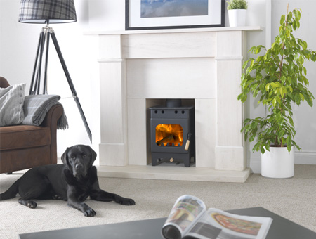 Burley Springdale wood burning stove